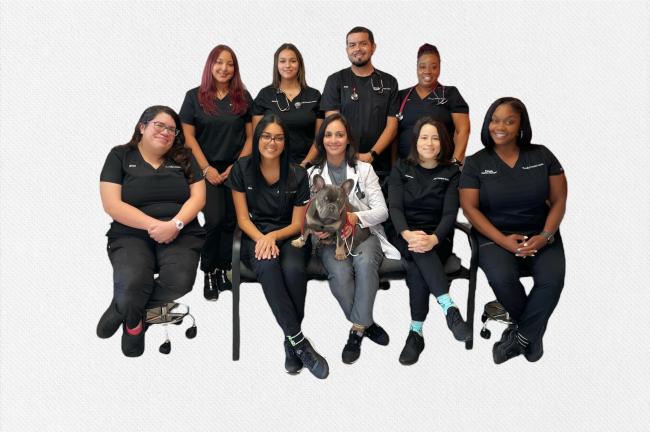 Top rated veterinary practice in Miami